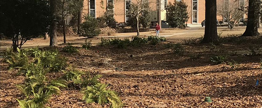 New, Green, Storm-Water Controls Installed on Campus