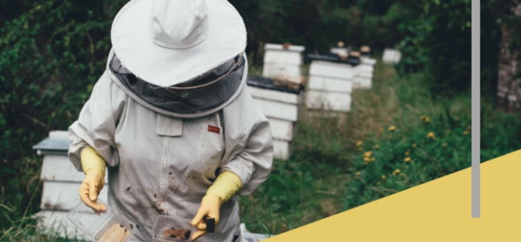 Beekeeping Workshop data-lightbox='featured'