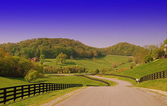 Country Road
