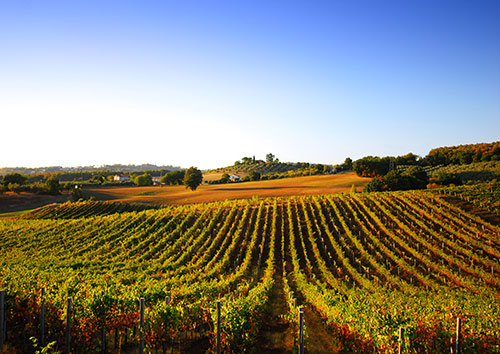 Napa Valley